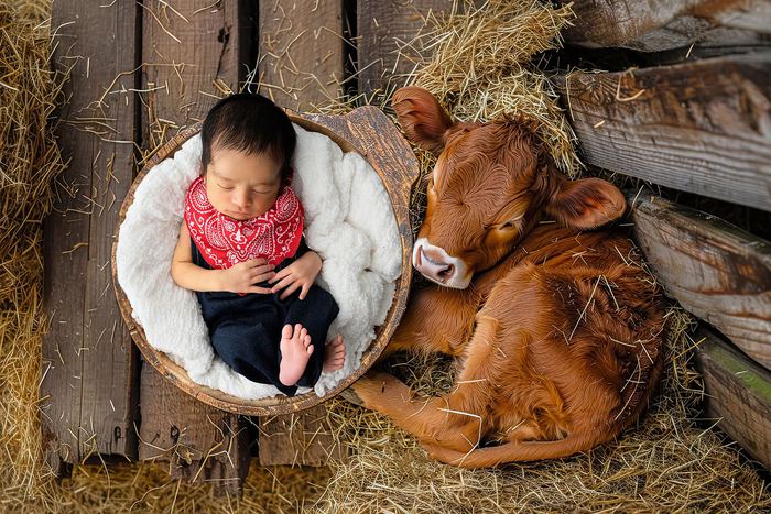Newborn portrait by Lilia Photography