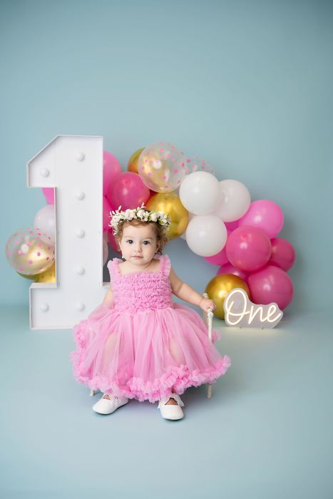First birthday cake smash portrait by Lilia Photography